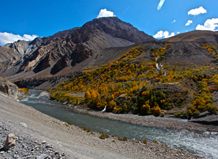lahaul
